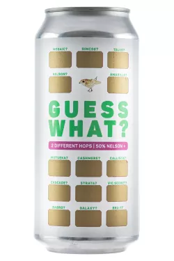 GUESS WHAT? Nelson + ?