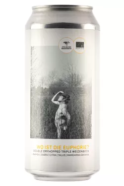 Wo ist die Euphorie?