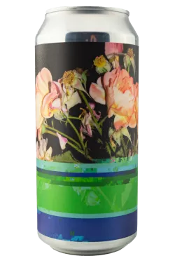 Dangerously Close To Stupid