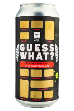 Guess What? *70Y of Bundestag Rants*