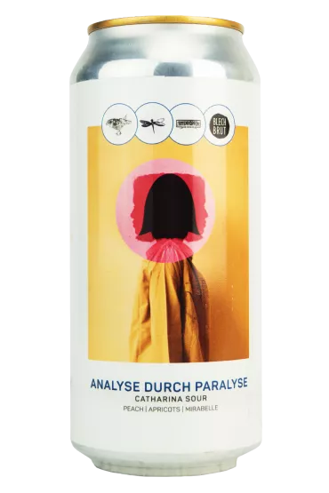 Product Analyse Durch Paralyse